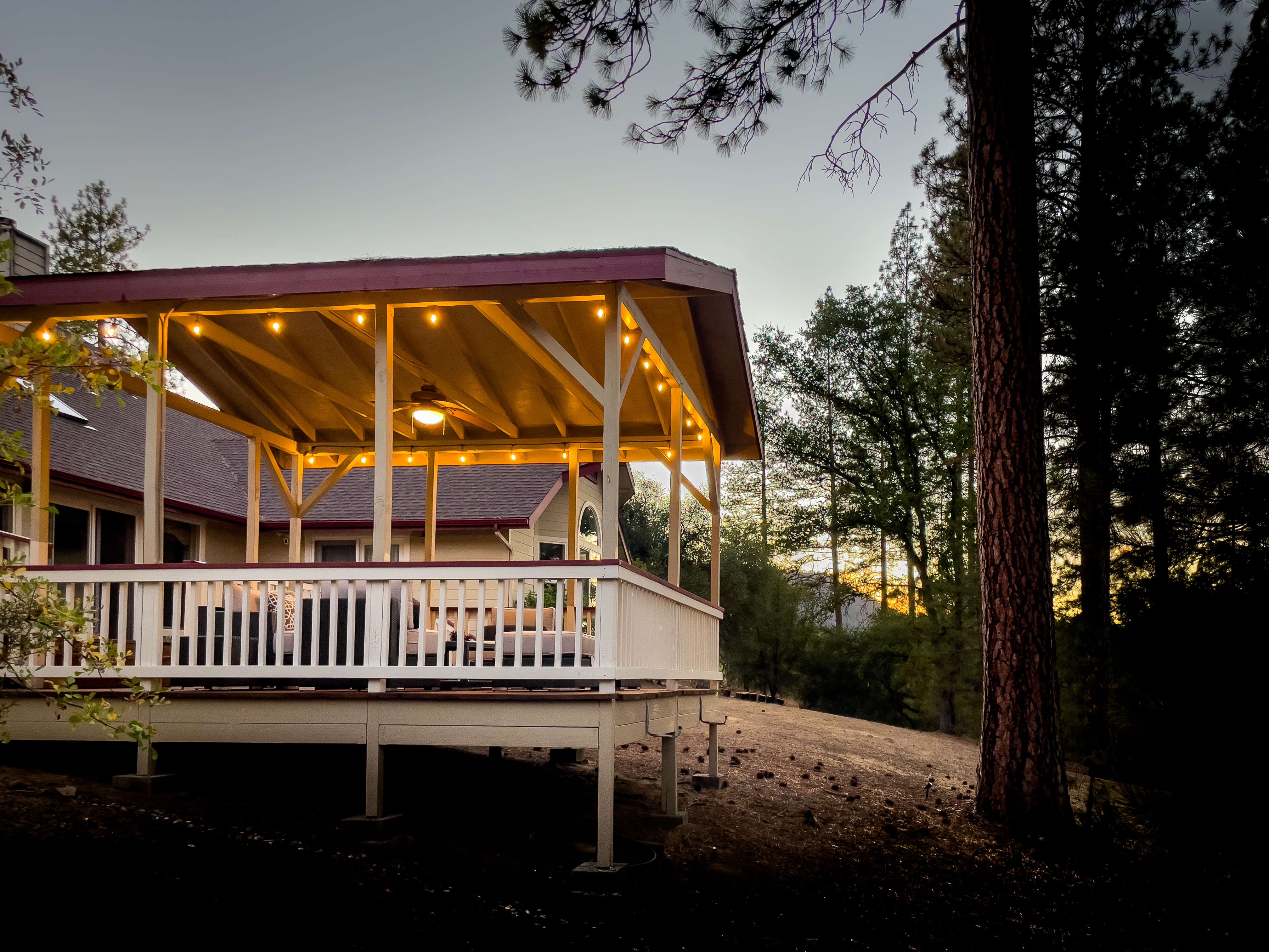 A private cabin wrapped in five acres of trees