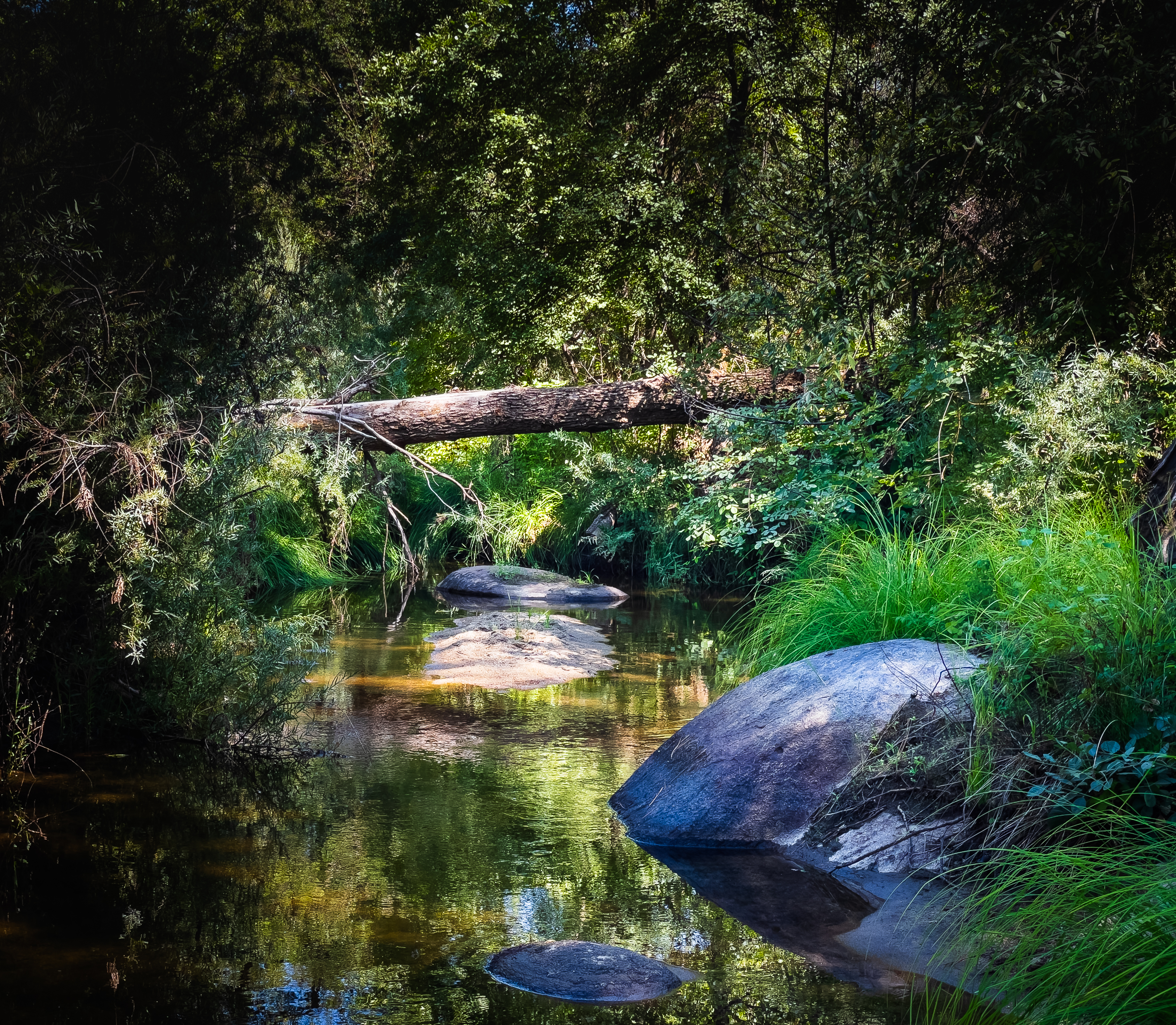Creek passing through the property